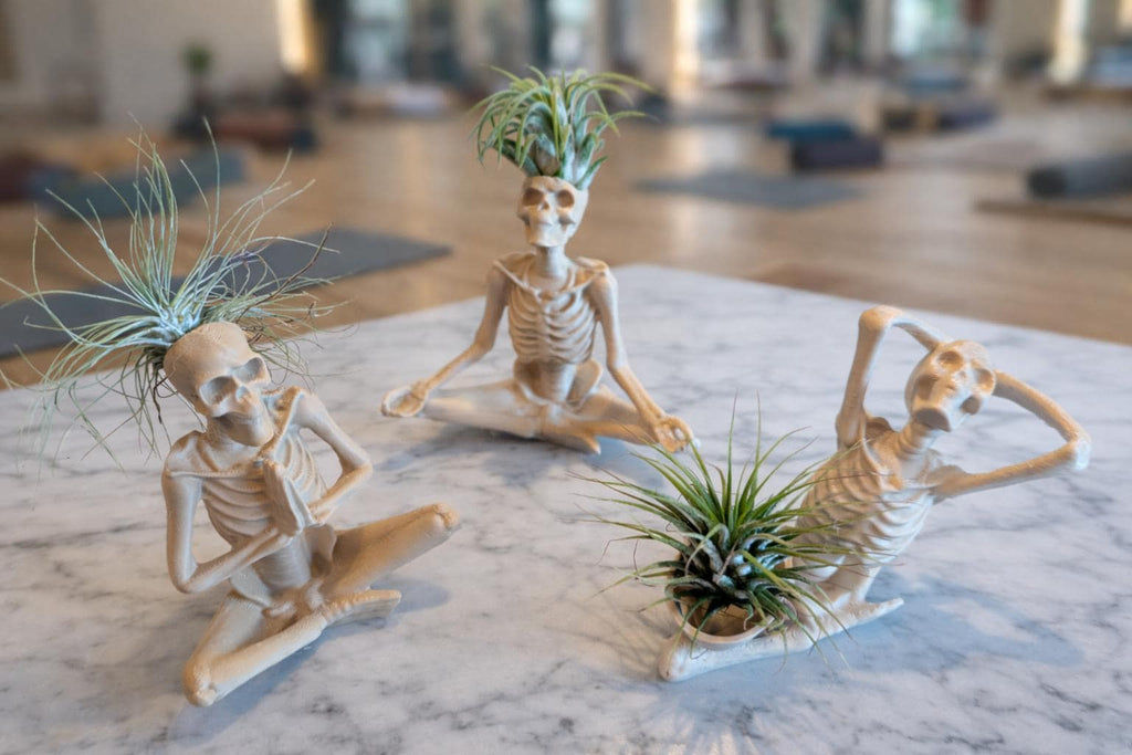 Yoga Skeleton Air Plant Holder, Meditating Skull Planters, Gothic Boho Decor