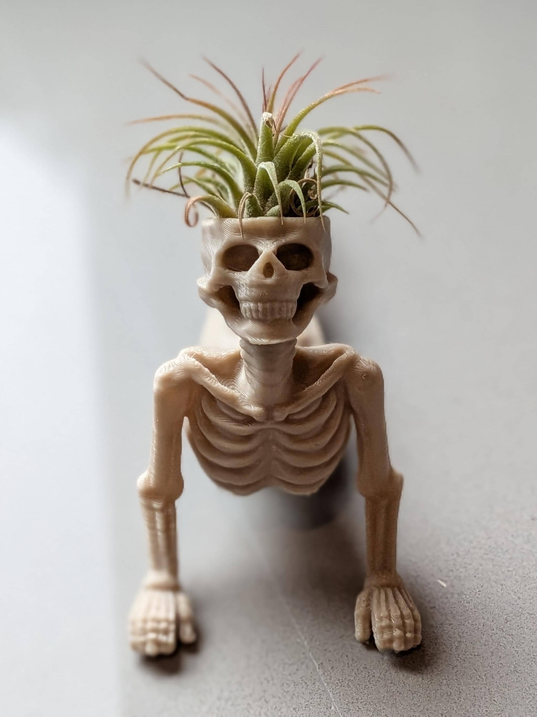 Yoga Skeleton Air Plant Holder, Meditating Skull Planters, Gothic Boho Decor