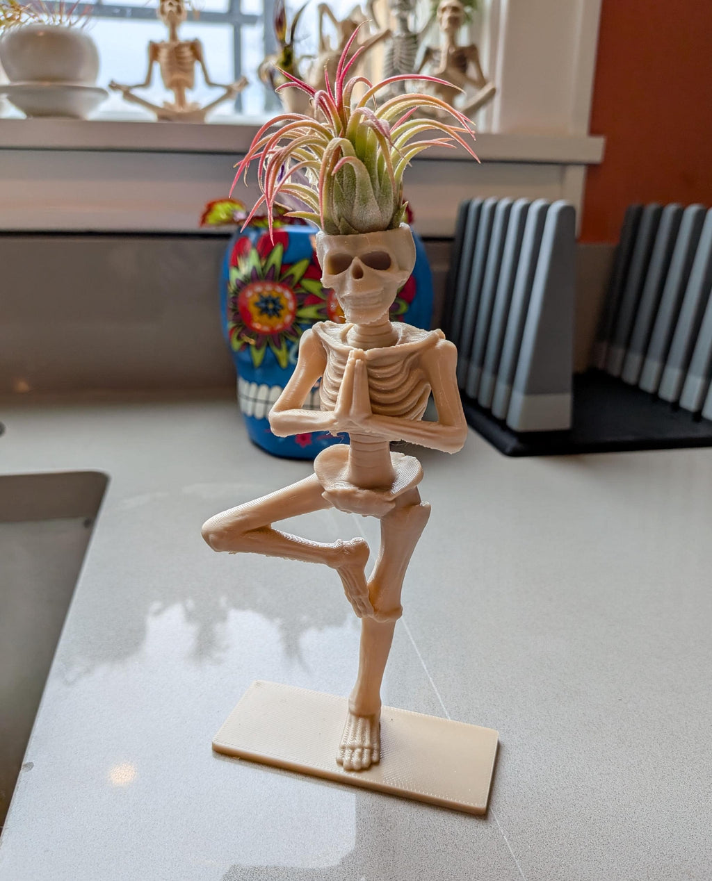 Yoga Skeleton Air Plant Holder, Meditating Skull Planters, Gothic Boho Decor