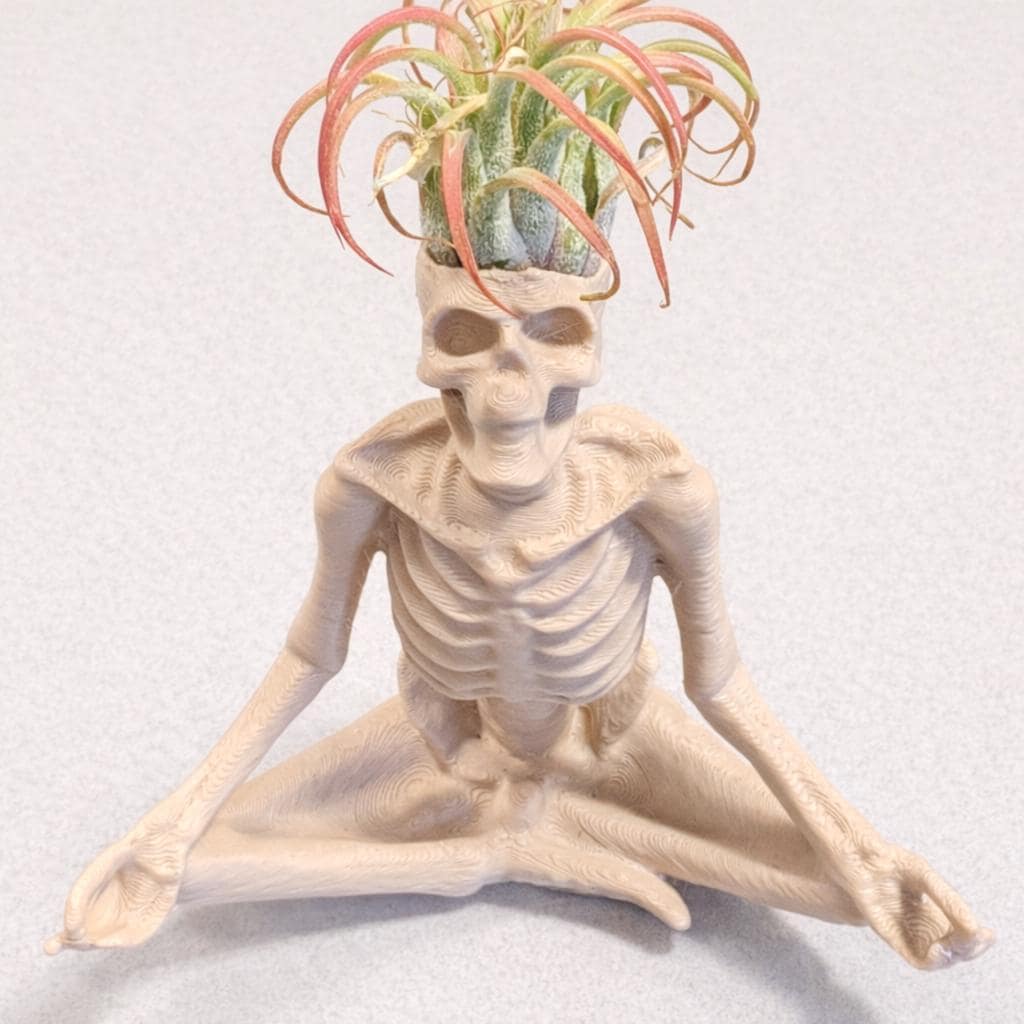 Yoga Skeleton Air Plant Holder, Meditating Skull Planters, Gothic Boho Decor