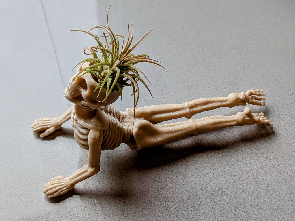 Yoga Skeleton Air Plant Holder, Meditating Skull Planters, Gothic Boho Decor