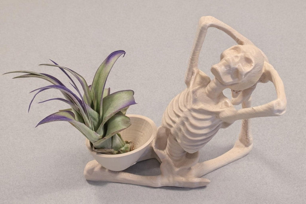 Yoga Skeleton Air Plant Holder, Meditating Skull Planters, Gothic Boho Decor