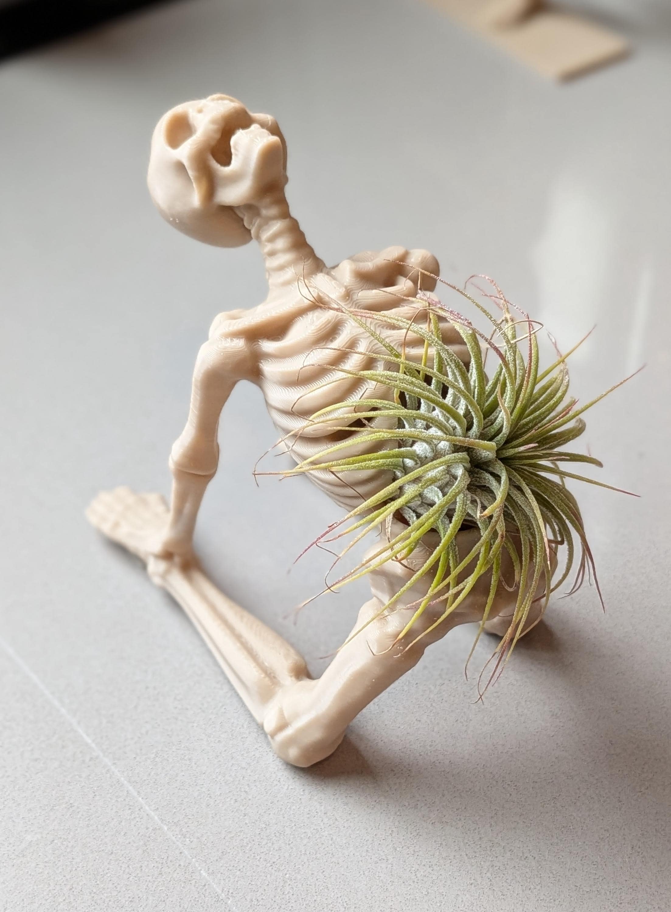 Yoga Skeleton Air Plant Holder, Meditating Skull Planters, Gothic Boho Decor