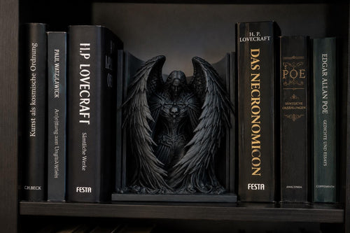 Dark Angel Book Nook, Gothic Fallen Statue, Dark Academia Shelf Decor