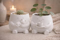 Cat Hug & Coffee Planter Pot, Succulent Planters, Cozy Home Garden Decor