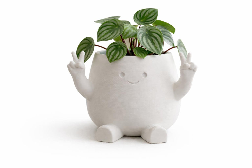 Peace & Peekaboo Planter Pot, Succulent Planters, Joyful Home Decor