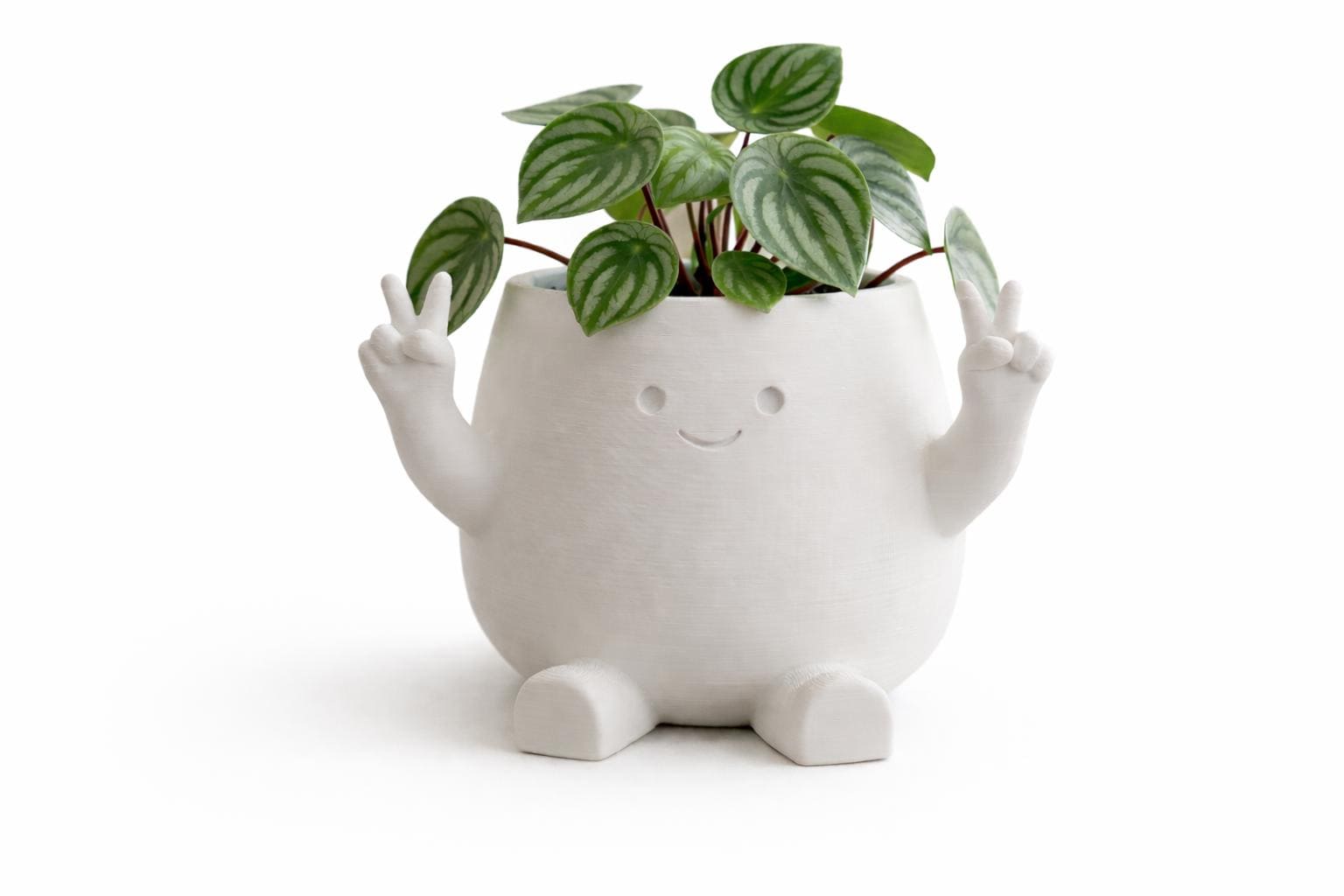 Peace & Peekaboo Planter Pot, Succulent Planters, Joyful Home Decor