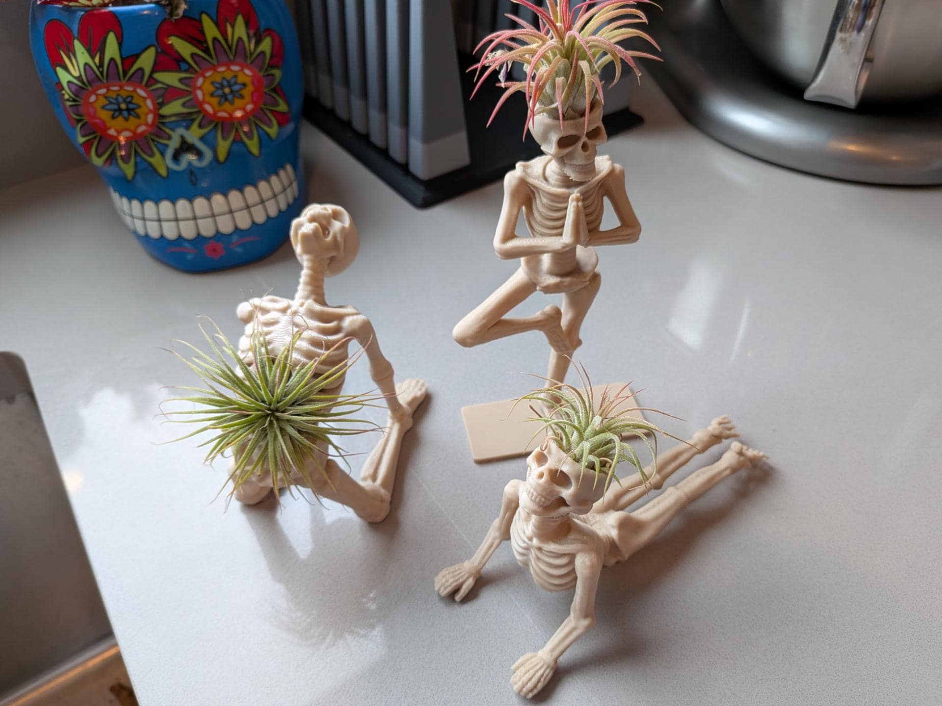 Yoga Skeleton Air Plant Holder, Meditating Skull Planters, Gothic Boho Decor