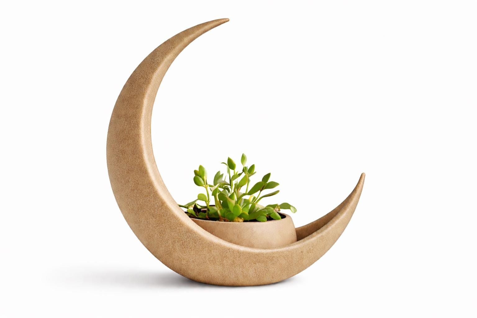Crescent Moon Planter, Succulent Holder