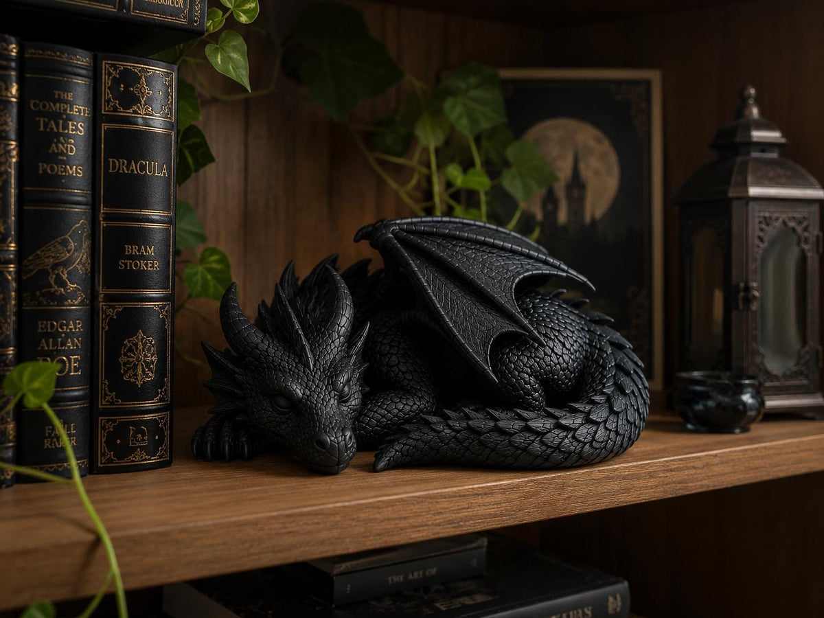 Sleeping Dragon Statue – Curled Fantasy Bookshelf Decor