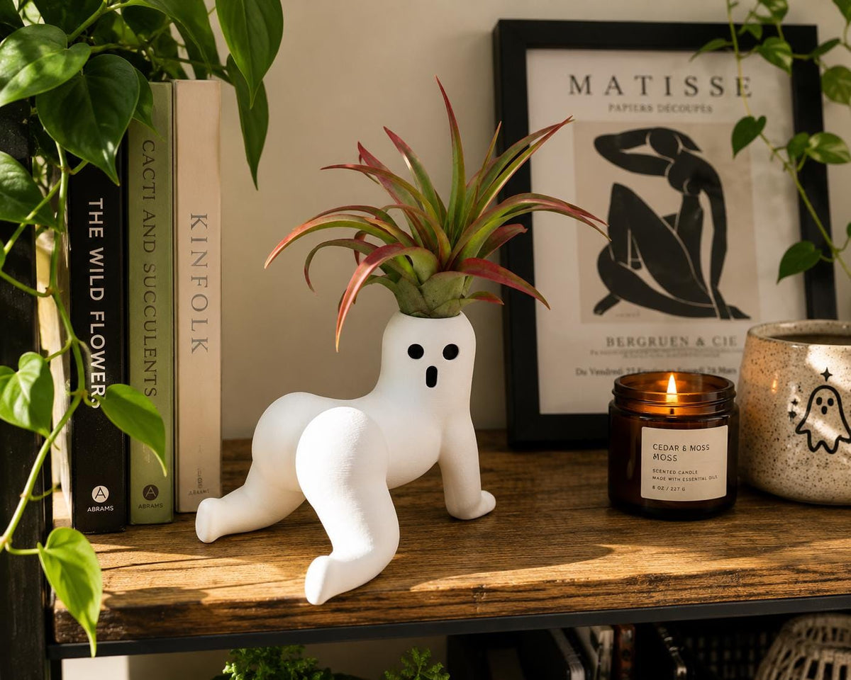 Ghost Air Plant Holder, Funny Shelf Decor