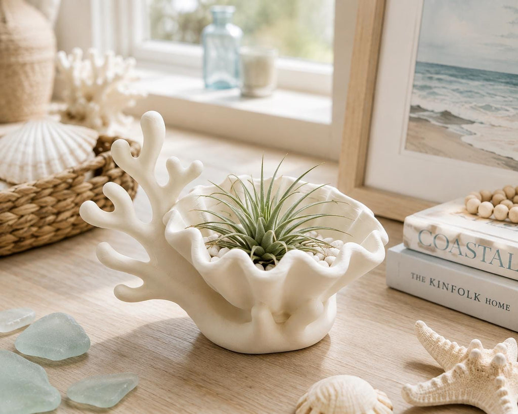 Coral Seashell Planter, Coastal Succulent Pot, Beach House Jewelry Dish — photo 2