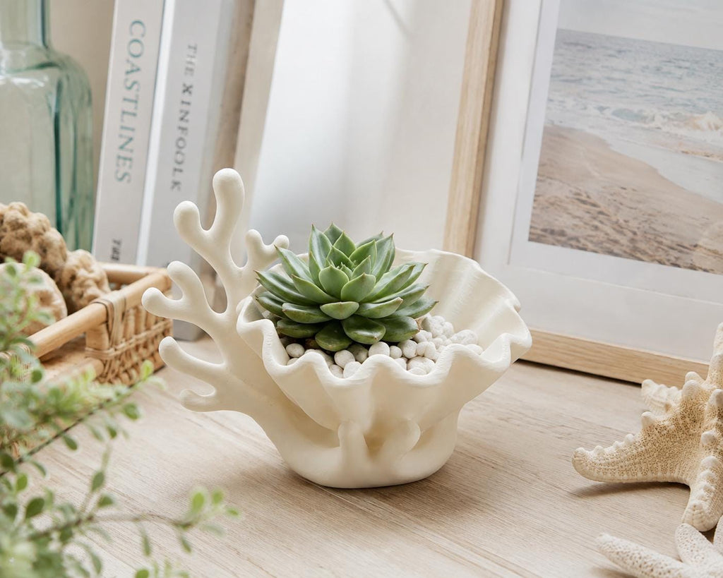 Coral Seashell Planter, Coastal Succulent Pot, Beach House Jewelry Dish